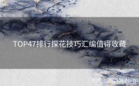 TOP47排行探花技巧汇编值得收藏