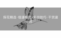 探花精选·极速模式·实战技巧·干货速递