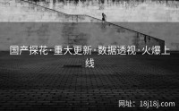 国产探花·重大更新·数据透视·火爆上线