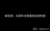 麻豆网：五周年全景重现全网热搜