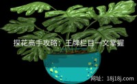 探花高手攻略：王牌栏目一文掌握