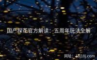 国产探花官方解读：五周年玩法全解