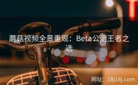 蘑菇视频全景重现：Beta公测王者之选