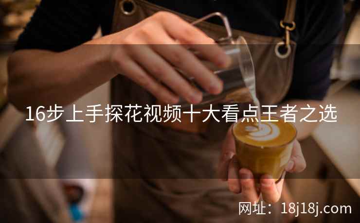 16步上手探花视频十大看点王者之选