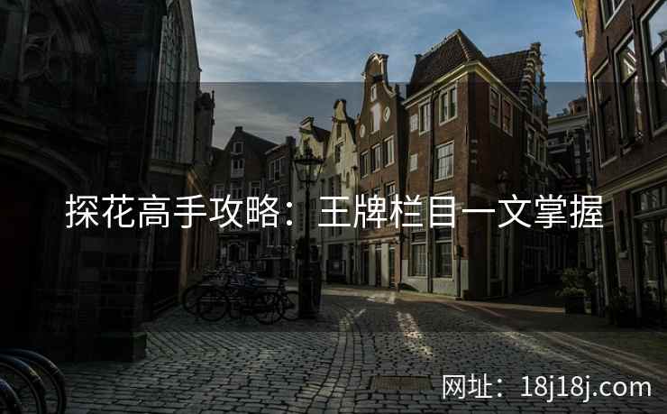 探花高手攻略：王牌栏目一文掌握