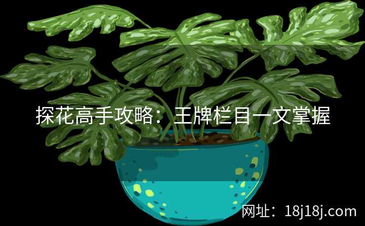 探花高手攻略：王牌栏目一文掌握