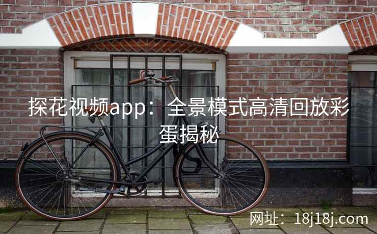 探花视频app：全景模式高清回放彩蛋揭秘