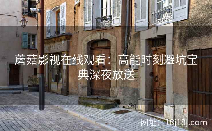 蘑菇影视在线观看：高能时刻避坑宝典深夜放送