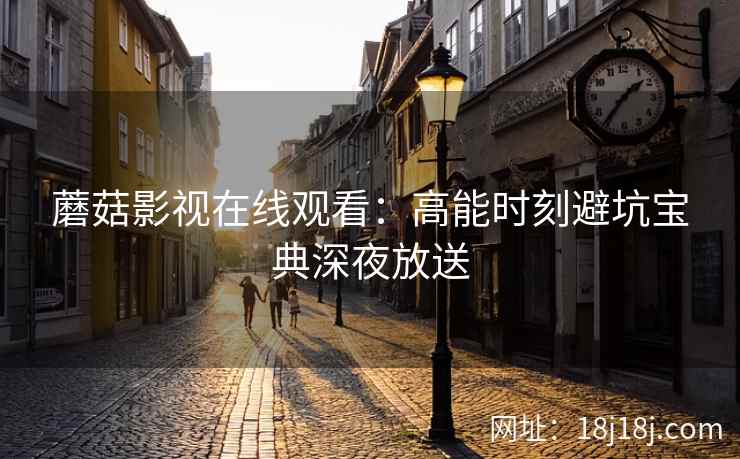 蘑菇影视在线观看：高能时刻避坑宝典深夜放送