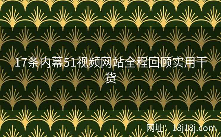 17条内幕51视频网站全程回顾实用干货