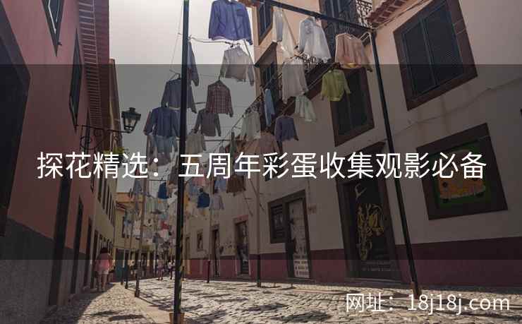 探花精选：五周年彩蛋收集观影必备