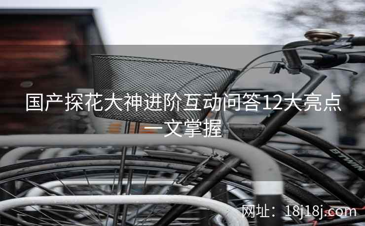 国产探花大神进阶互动问答12大亮点一文掌握