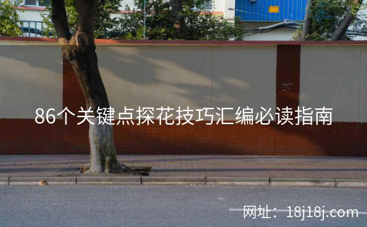 86个关键点探花技巧汇编必读指南