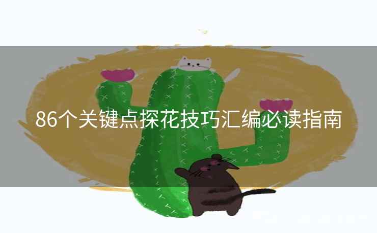 86个关键点探花技巧汇编必读指南